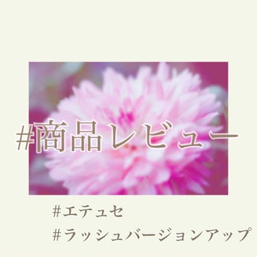 ラッシュバージョンアップ（リッチロング）/ettusais/マスカラ下地・トップコートを使ったクチコミ（1枚目）