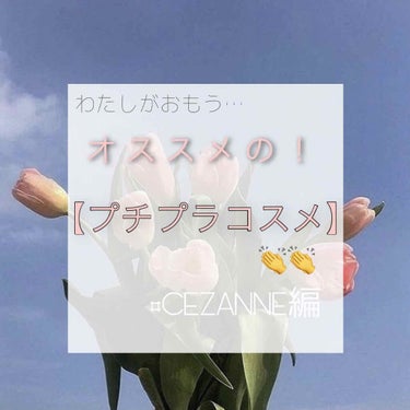 ラスティング リップカラーN/CEZANNE/口紅を使ったクチコミ（1枚目）