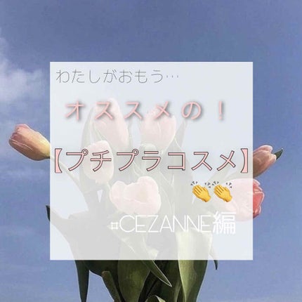 ラスティング リップカラーN/CEZANNE/口紅を使ったクチコミ(1枚目)
