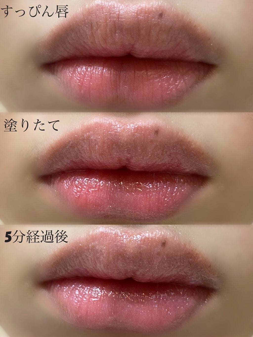 エテュセ リップエディション(プランパー)リッチスタイル/ヘルシースタイル/ettusais/リップケアを使ったクチコミ(4枚目)