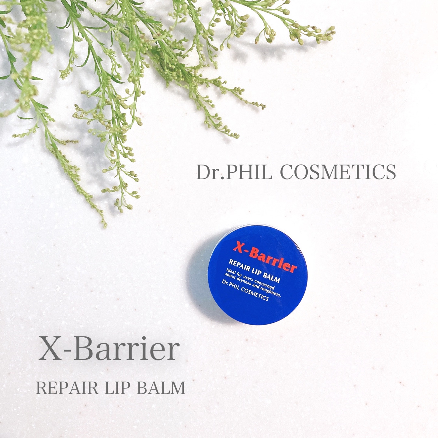 フイルナチュラント エクスバリア リペア リップバーム/ドクターフィルコスメティクス/リップバームを使ったクチコミ（1枚目）