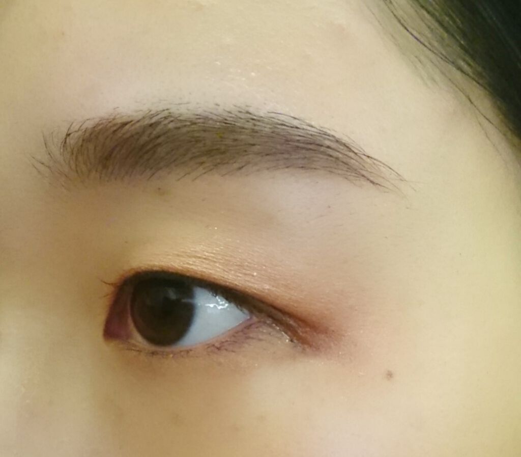 ラスティングWブロウEX N/サナ ニューボーン/リキッドアイブロウを使ったクチコミ（2枚目）