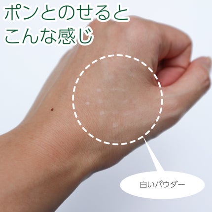 CICA ノーセバム マイルドパウダー/VT/ルースパウダーを使ったクチコミ(5枚目)