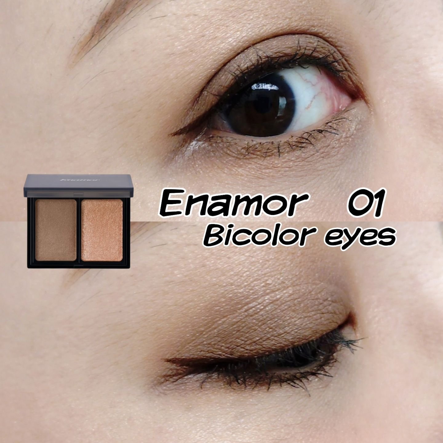 バイカラーアイズ/Enamor/アイシャドウパレットを使ったクチコミ（1枚目）