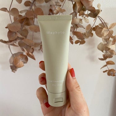 Waphyto Hand Cream ハンドクリームのクチコミ「初Waphyto✨爽やかで色んな意味でシンプルなハンドクリーム👌

春夏に向けてサッパリ目のハ.....」（1枚目）