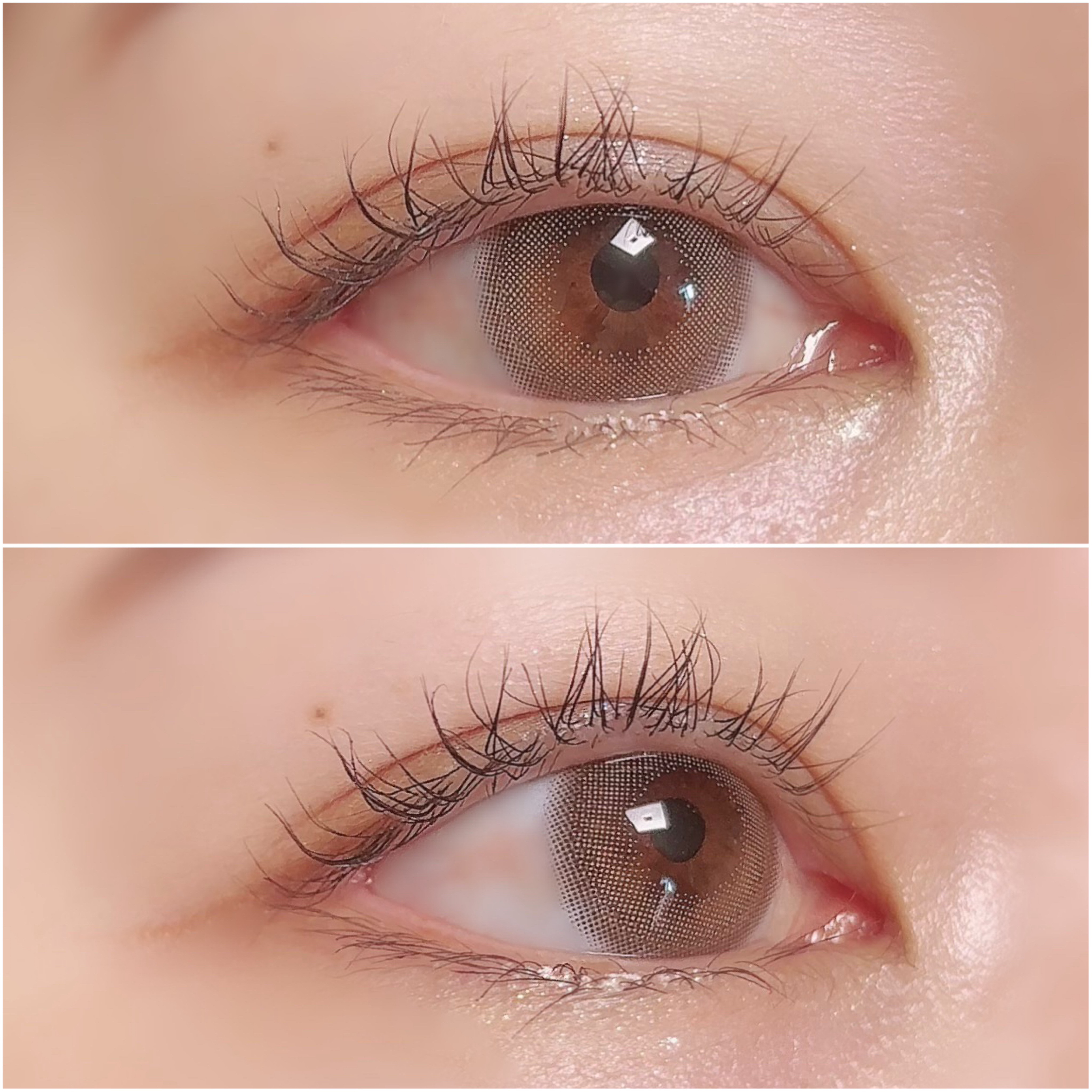 マランマラン ワンデー ゼリートープ/malun malun/ワンデー（１DAY）カラコンを使ったクチコミ（3枚目）