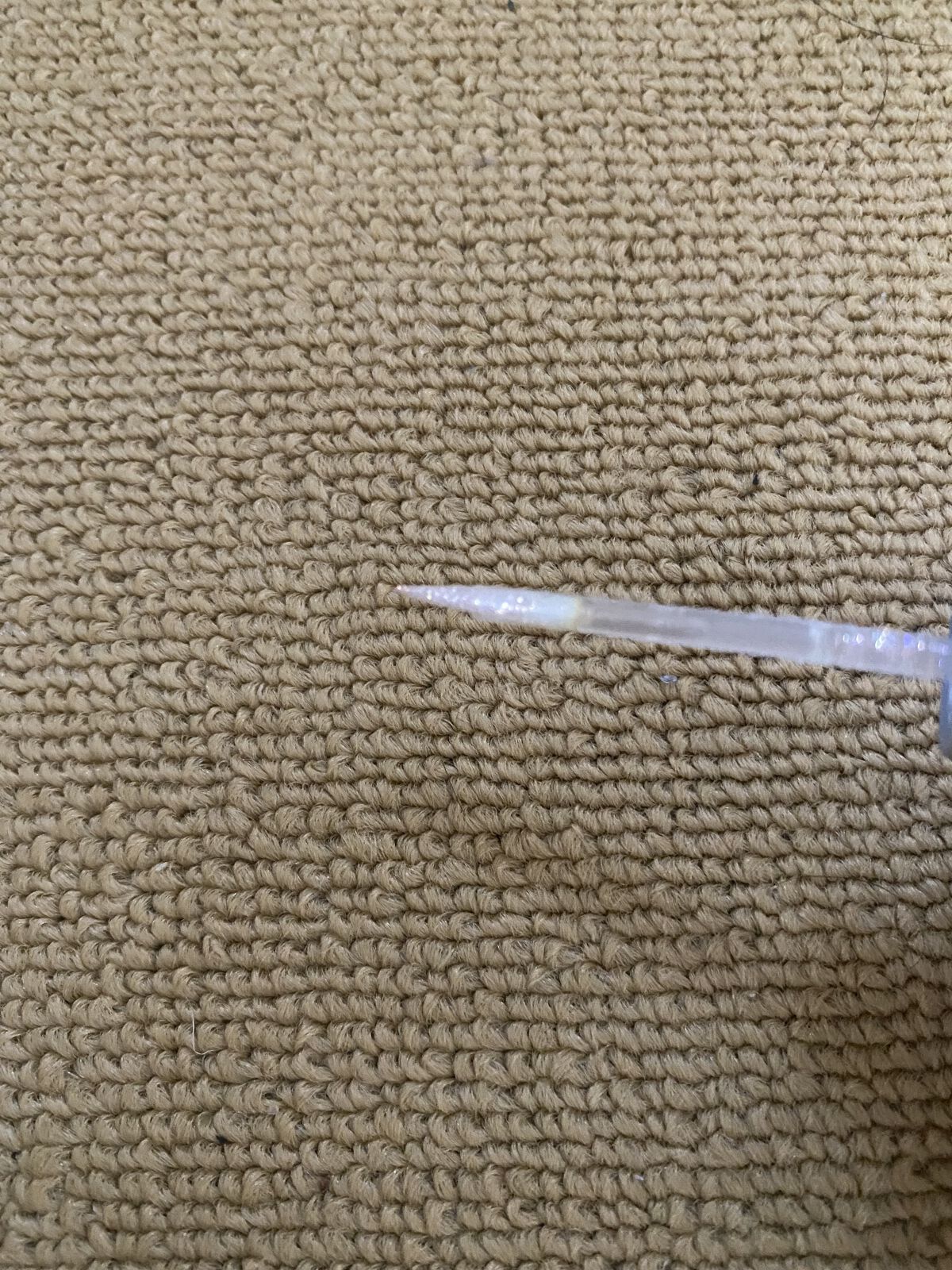 アイビービーグリッター/RICAFROSH/グリッターを使ったクチコミ（2枚目）