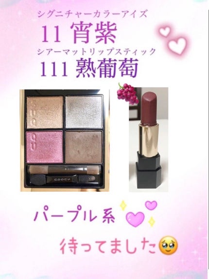 シグニチャー カラー アイズ/SUQQU/アイシャドウパレットを使ったクチコミ(1枚目)