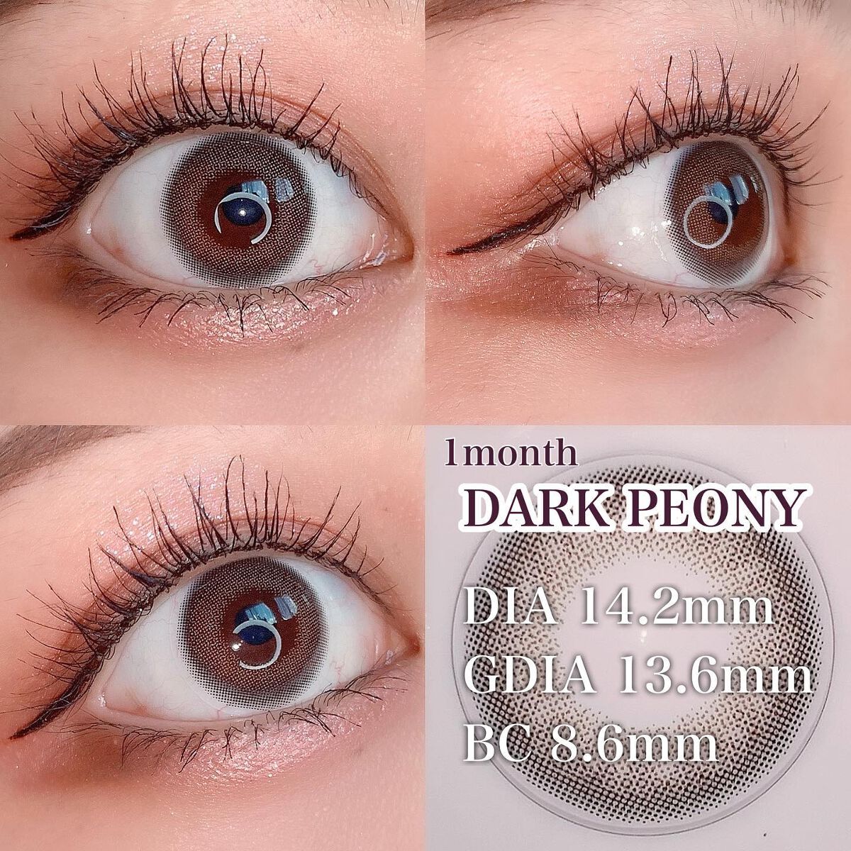 MOLAK 1day/MOLAK/ワンデー(1DAY)カラコンを使ったクチコミ(7枚目)