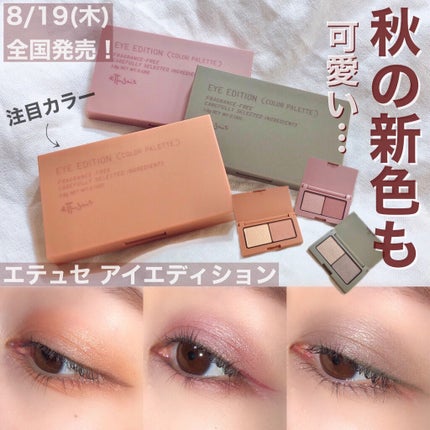 エテュセ アイエディション(カラーパレット)/ettusais/アイシャドウパレットを使ったクチコミ(1枚目)
