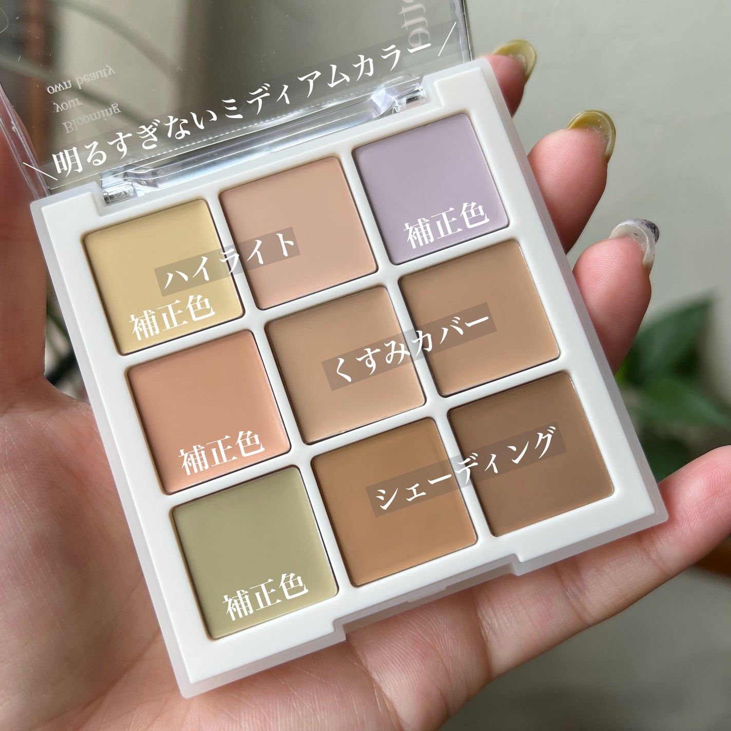 プロコンシーラーパレット/dasique/パレットコンシーラーを使ったクチコミ(3枚目)