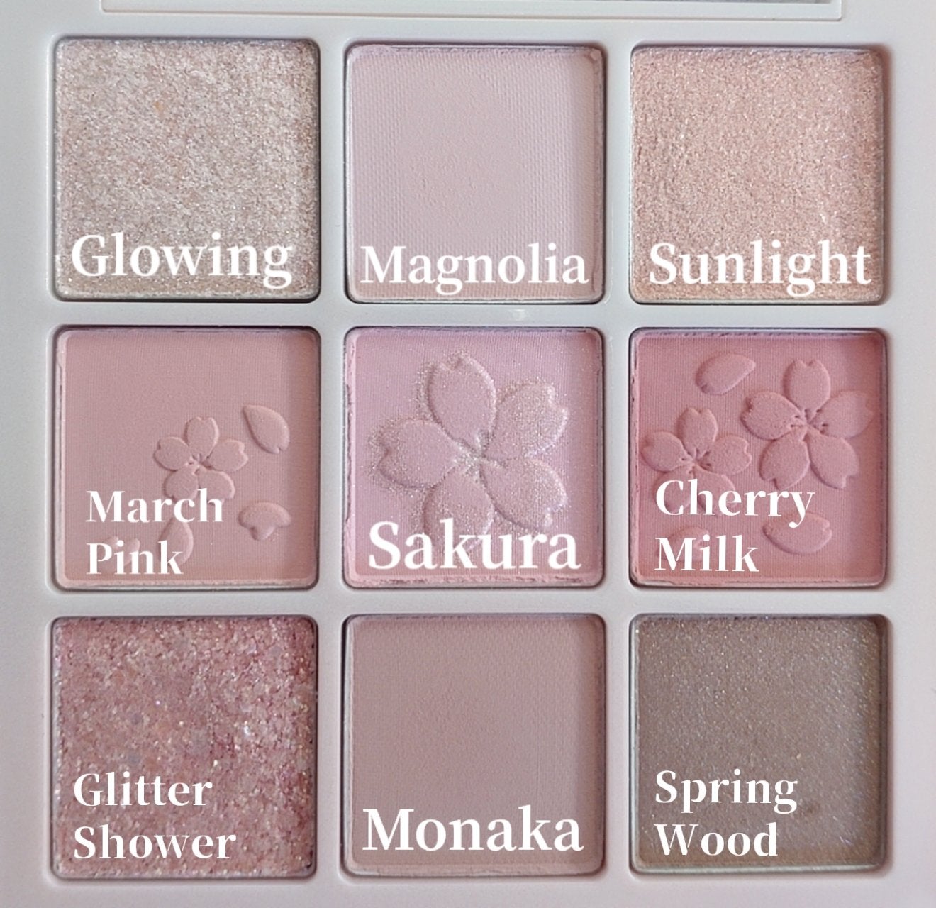 シャドウパレット/dasique/アイシャドウパレットを使ったクチコミ(2枚目)