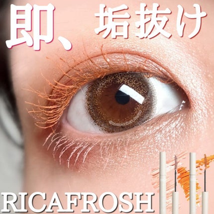 メガ・ステッキ/RICAFROSH/マスカラを使ったクチコミ(1枚目)