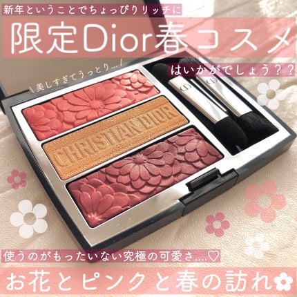 トリオ ブリック パレット<ピュア グロウ>/Dior/アイシャドウパレットを使ったクチコミ(1枚目)