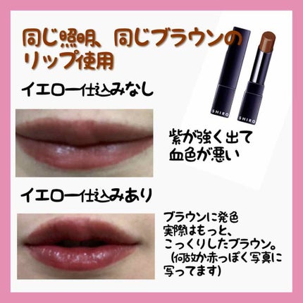 ジンジャーリップバター/SHIRO/リップグロスを使ったクチコミ(4枚目)