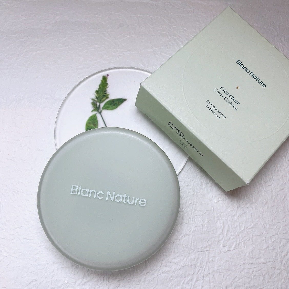 シカ クリア カバー クッション/ブラン/クッションファンデーションを使ったクチコミ(1枚目)