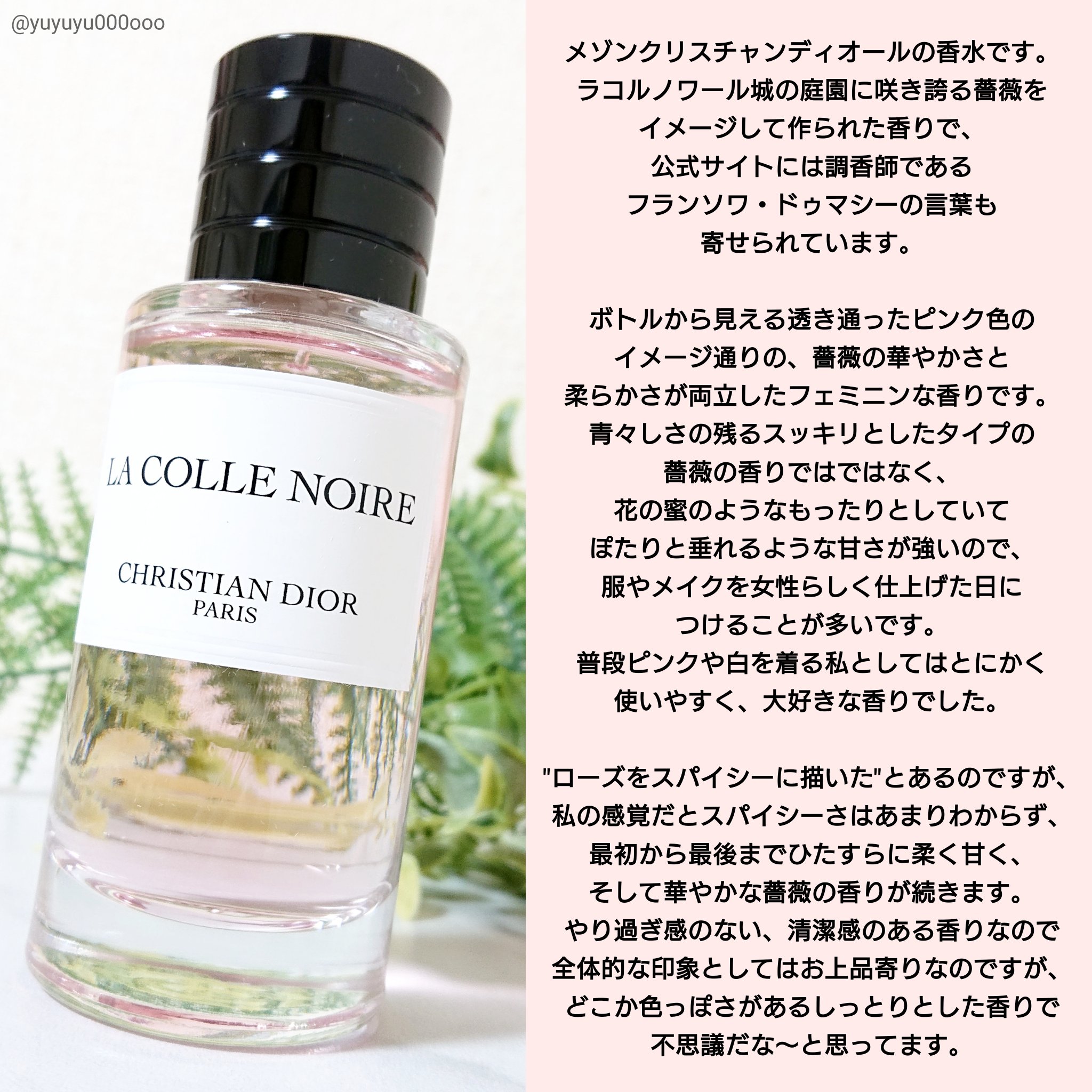 ラ コレクシオン プリヴェ クリスチャン ディオール ラ コル ノワール