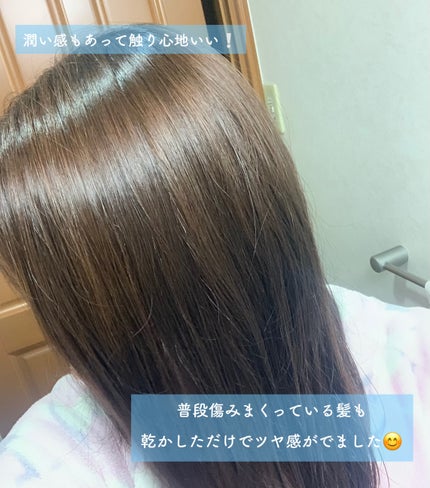 バタフライピーシャンプー/バタフライピーコンディショナー/TROPIKA/市販シャンプーを使ったクチコミ(4枚目)