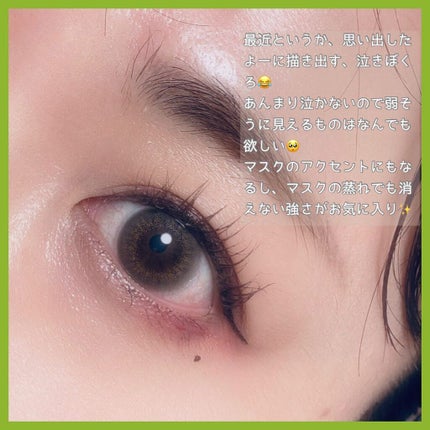 ロングラスティングアイライナー ブラウンブラック/COSCOS/リキッドアイライナーを使ったクチコミ(3枚目)