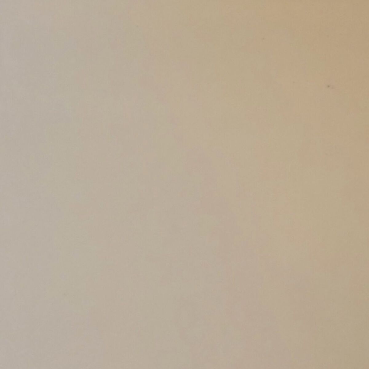 ワンダーハニー　とろとろふんわりクリームバス ピュアキンモクセイ/VECUA Honey/炭酸系入浴剤を使ったクチコミ（3枚目）