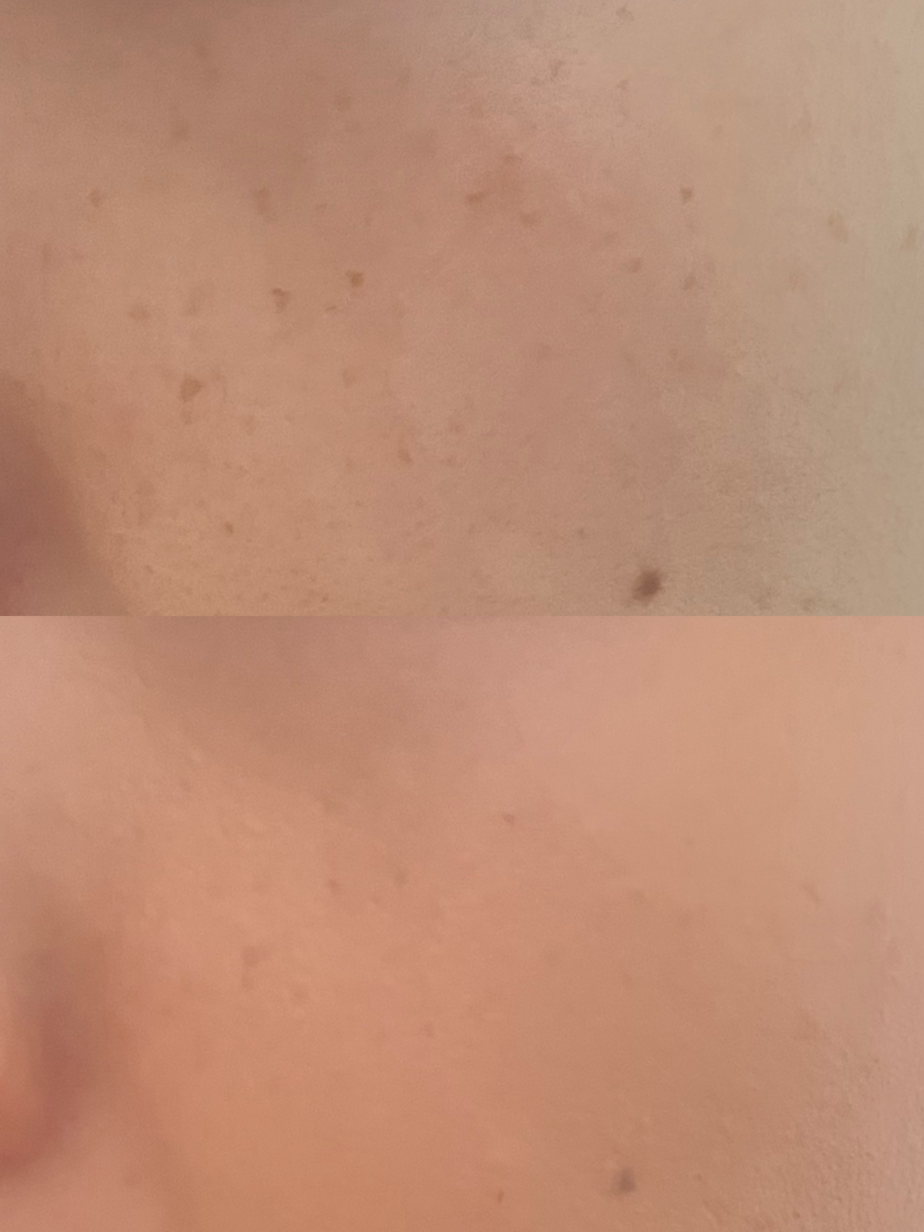 クラウドオールウェイズオン クッションファンデ ーション/FRESHO2/クッションファンデーションを使ったクチコミ（3枚目）