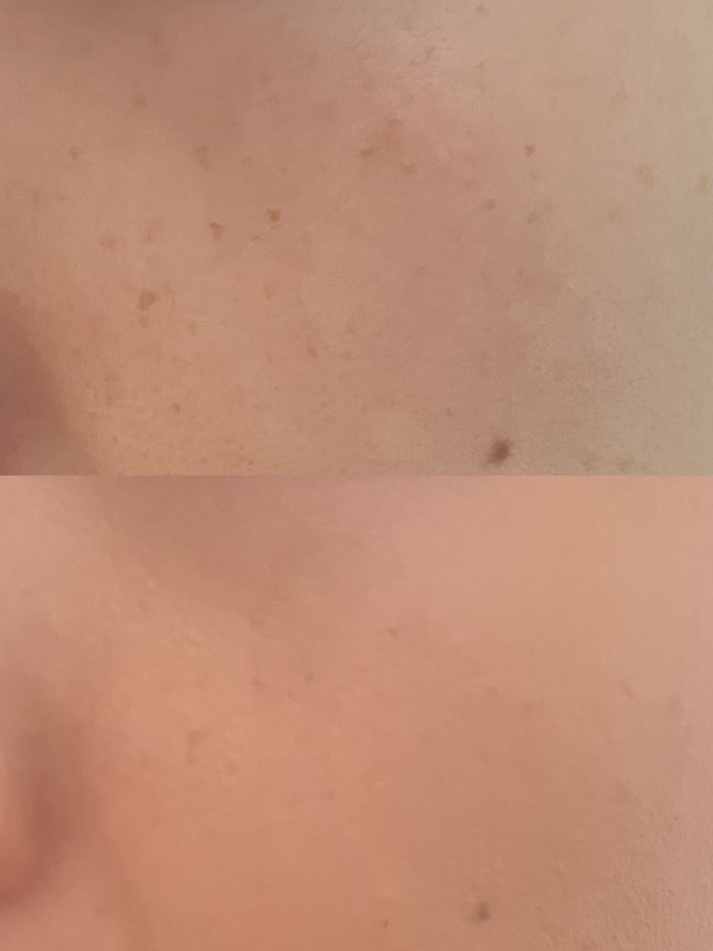 クラウドオールウェイズオン クッションファンデ ーション/FRESHO2/クッションファンデーションを使ったクチコミ(3枚目)