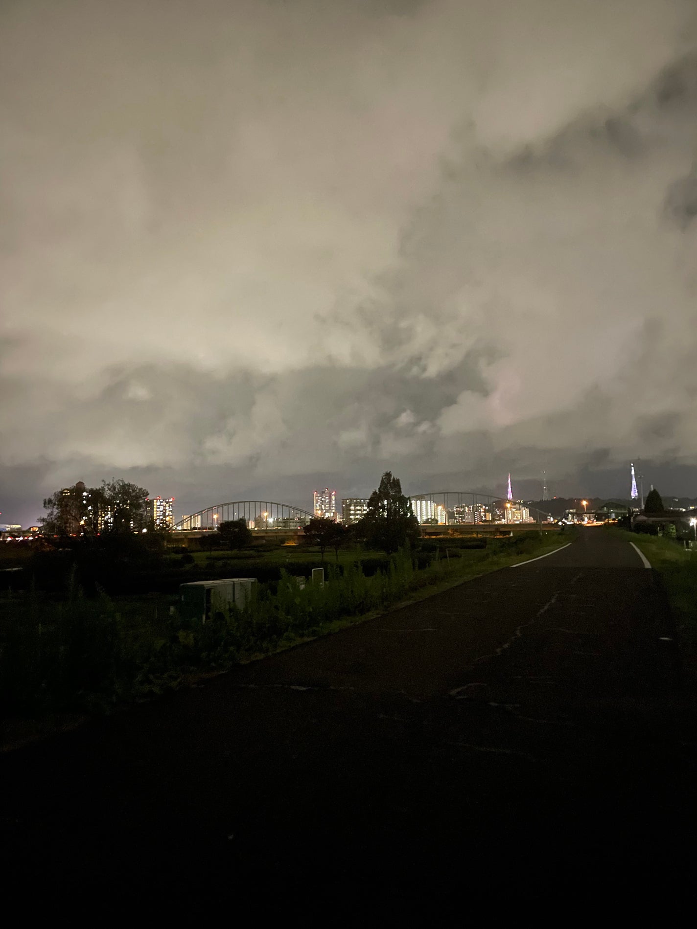 ジューシーラスティングティント/rom&nd/リップティントを使ったクチコミ(5枚目)