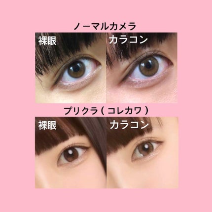 MOLAK 1day/MOLAK/ワンデー(1DAY)カラコンを使ったクチコミ(2枚目)