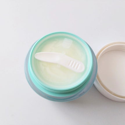 プロセスインワンメルティクリーム/FilFARO/フェイスクリームを使ったクチコミ(7枚目)