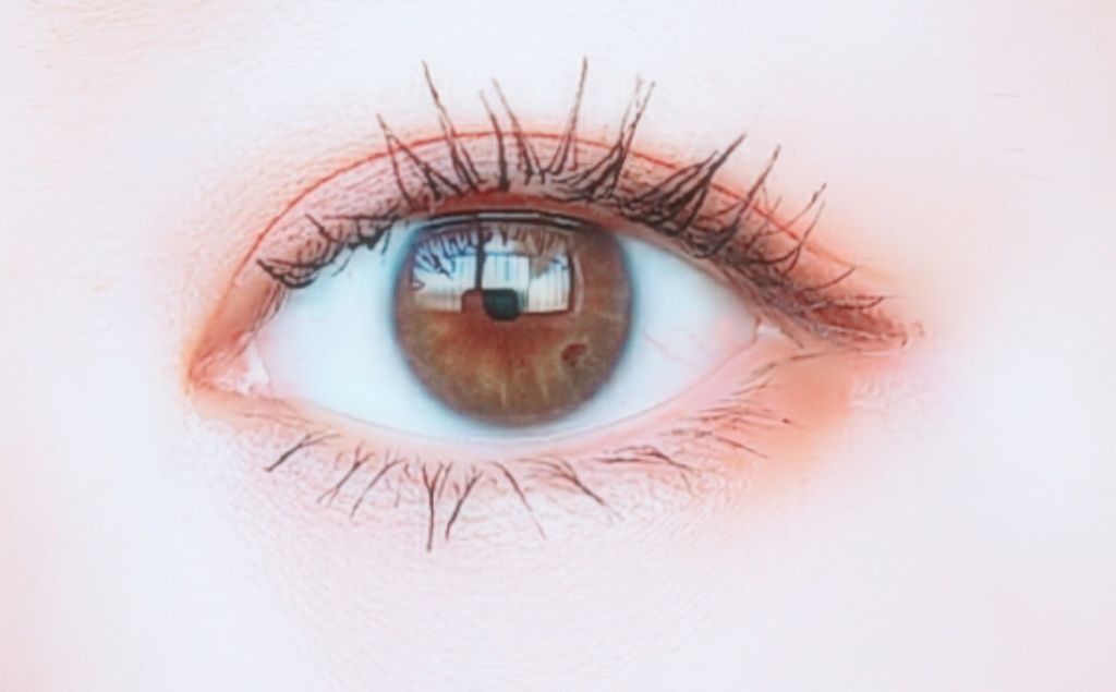 シングルカラーアイシャドウ/CEZANNE/単色アイシャドウを使ったクチコミ（1枚目）