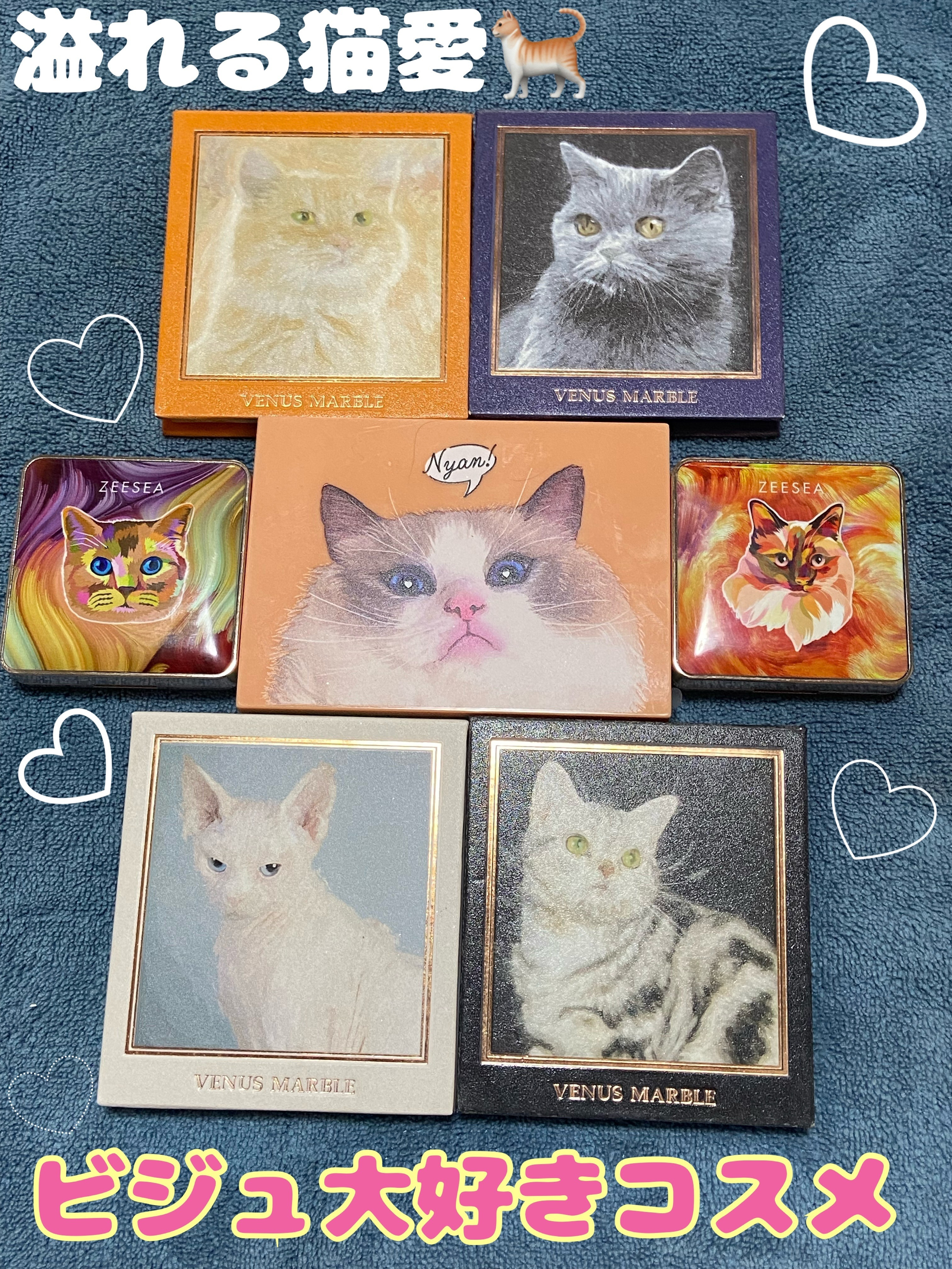 Mary’s 猫のチョコレートみたいなメイクアップパレットBOOK/宝島社/パウダーアイシャドウを使ったクチコミ（1枚目）