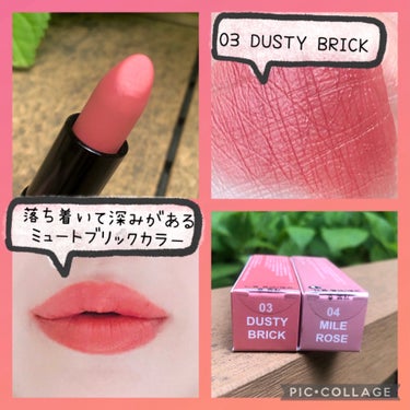 マットムースリップスティック 03_Dusty Brick/SISTER ANN/口紅を使ったクチコミ（2枚目）