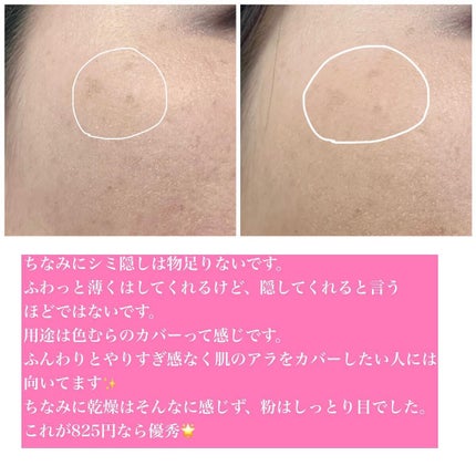 パステルヴェールコンシーラー/キャンメイク/パレットコンシーラーを使ったクチコミ(6枚目)