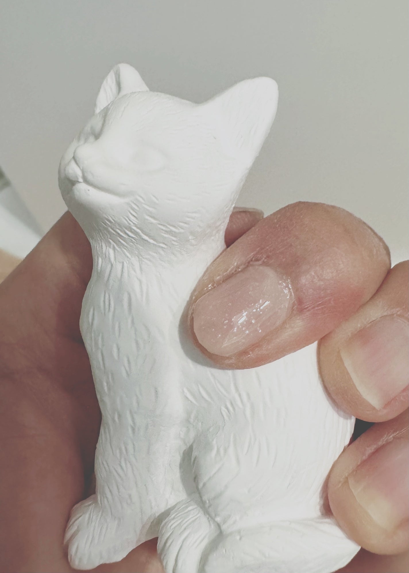 グロッシーコート/スキューズミー/オールインワンネイルを使ったクチコミ(3枚目)