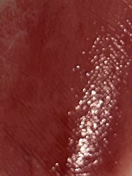 ネンマクフェイク ルージュ/Visée/口紅を使ったクチコミ(2枚目)