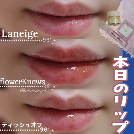 リップスリーピングマスク/LANEIGE/リップバームを使ったクチコミ(1枚目)