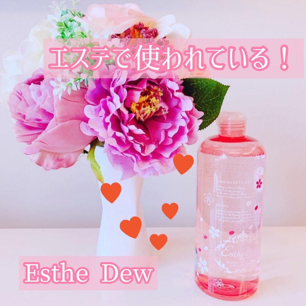 フォープロフェッショナルズ モイストアップローション/Esthe Dew (エステデュウ)/化粧水を使ったクチコミ（1枚目）