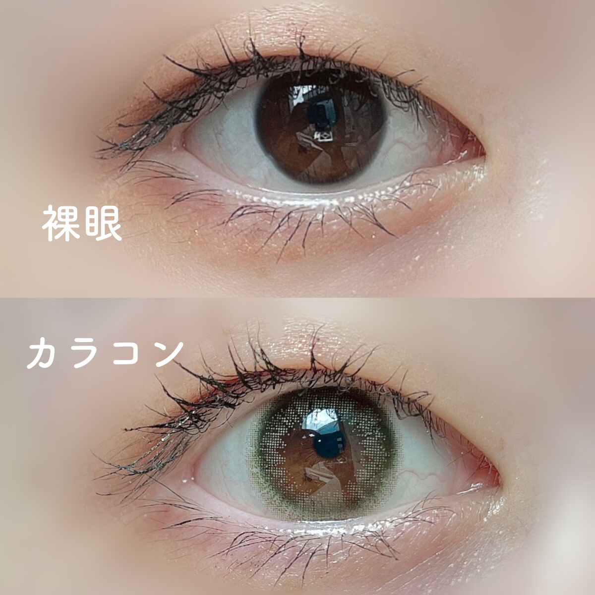 ramurie ラムリエ カームオリーブ/ramurie/ワンデー（１DAY）カラコンを使ったクチコミ（2枚目）