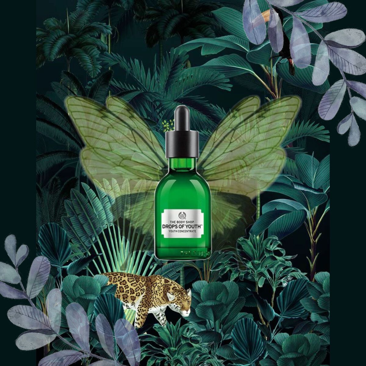 ユースコンセントレート DOY ユースコンセントレート DOY 30ml/THE BODY SHOP/美容液を使ったクチコミ（1枚目）