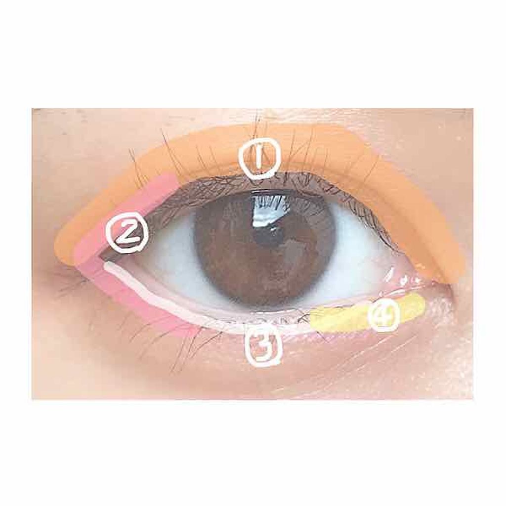 トーンアップアイシャドウ/CEZANNE/アイシャドウパレットを使ったクチコミ（2枚目）