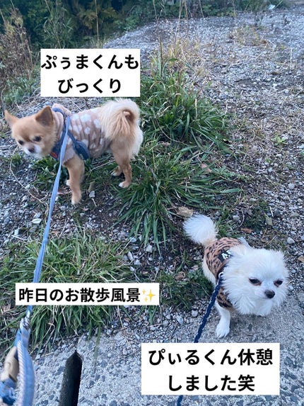 スキルレスライナー/LUMIURGLAS/リキッドアイライナーを使ったクチコミ(8枚目)