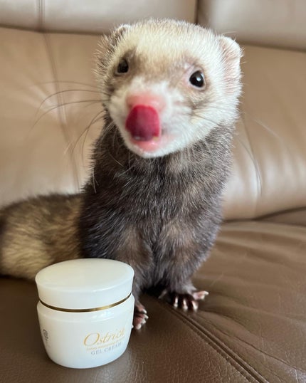 オストリッチジェルクリーム/美里オーストリッチファーム/フェイスクリームを使ったクチコミ(3枚目)