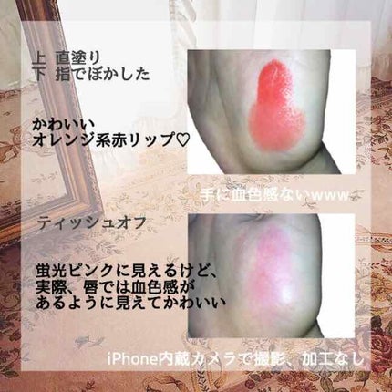 ラスティング リップカラーN/CEZANNE/口紅を使ったクチコミ(2枚目)