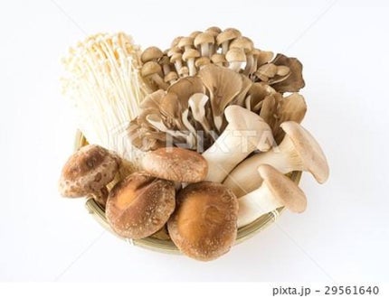 ã䜿ã£ãã¯ãã³ãïŒ2æç®ïŒ