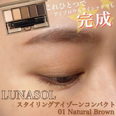 スタイリングアイゾーンコンパクト 01 Natural Brown/LUNASOL/アイシャドウパレットを使ったクチコミ（1枚目）