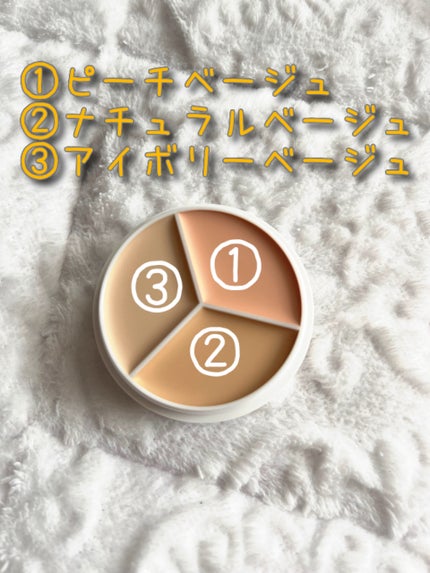 カバーアッププロコンシーラー/TFIT/パレットコンシーラーを使ったクチコミ(2枚目)