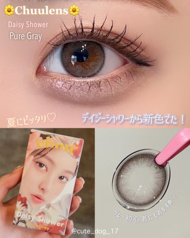 chuu LENS Daisy Showerのクチコミ「チューレンズのデイジーシャワーから新色登場！🎐
🌼Chuulens🌼
Daisy shower.....」（1枚目）