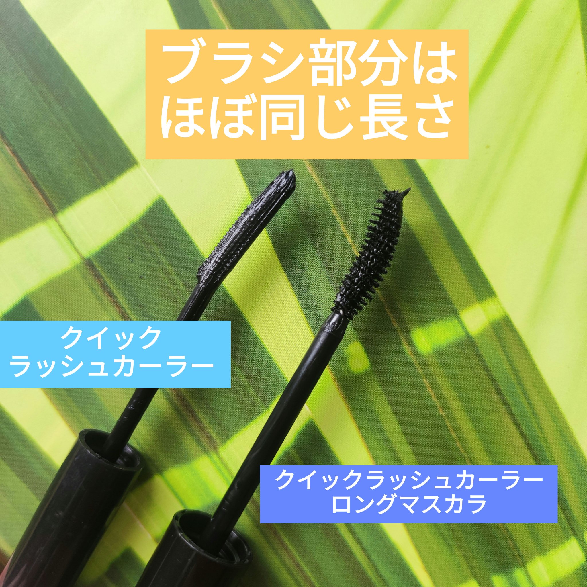 クイックラッシュカーラー/キャンメイク/マスカラ下地を使ったクチコミ（3枚目）