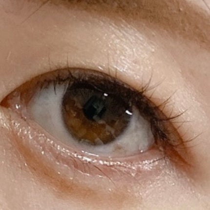 仕込みアイライナー /Fujiko/リキッドアイライナーを使ったクチコミ(6枚目)