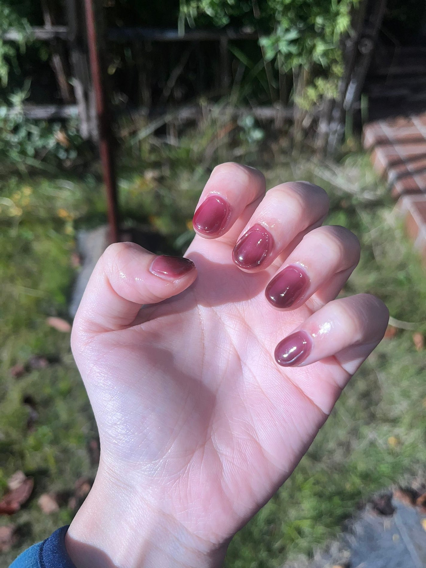 ジェルネイル(ライト対応)/セリア/ジェルネイルを使ったクチコミ(6枚目)